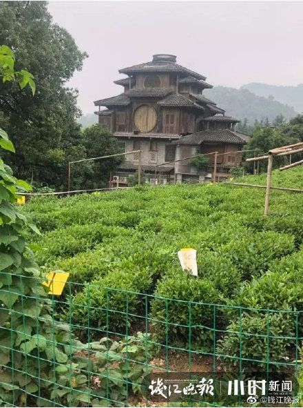 西湖景区一民宅酷似《千与千寻》里的汤屋成网红