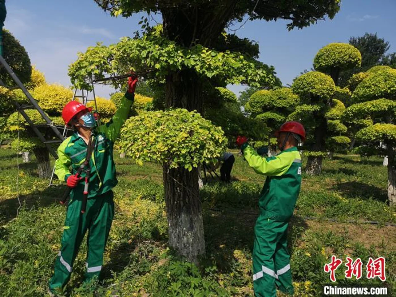 北京市园林绿化行业工装发布 设计主题为“绿波荡漾”