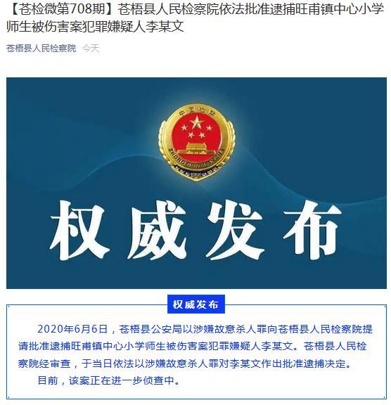 广西苍梧县旺甫镇中心小学师生被伤害案嫌疑人被批捕