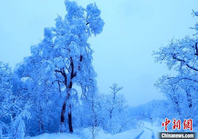 边城饶河50年来首次五月降雨夹雪 雪后现雾凇美景