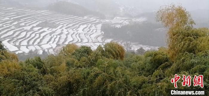 杭州气温跳水“由夏入冬” 部分山区迎“春雪”