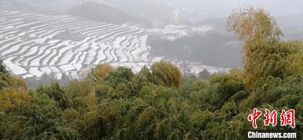 杭州气温跳水“由夏入冬” 部分山区迎“春雪”