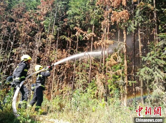 云南陇川突发森林火灾 明火已全部扑灭