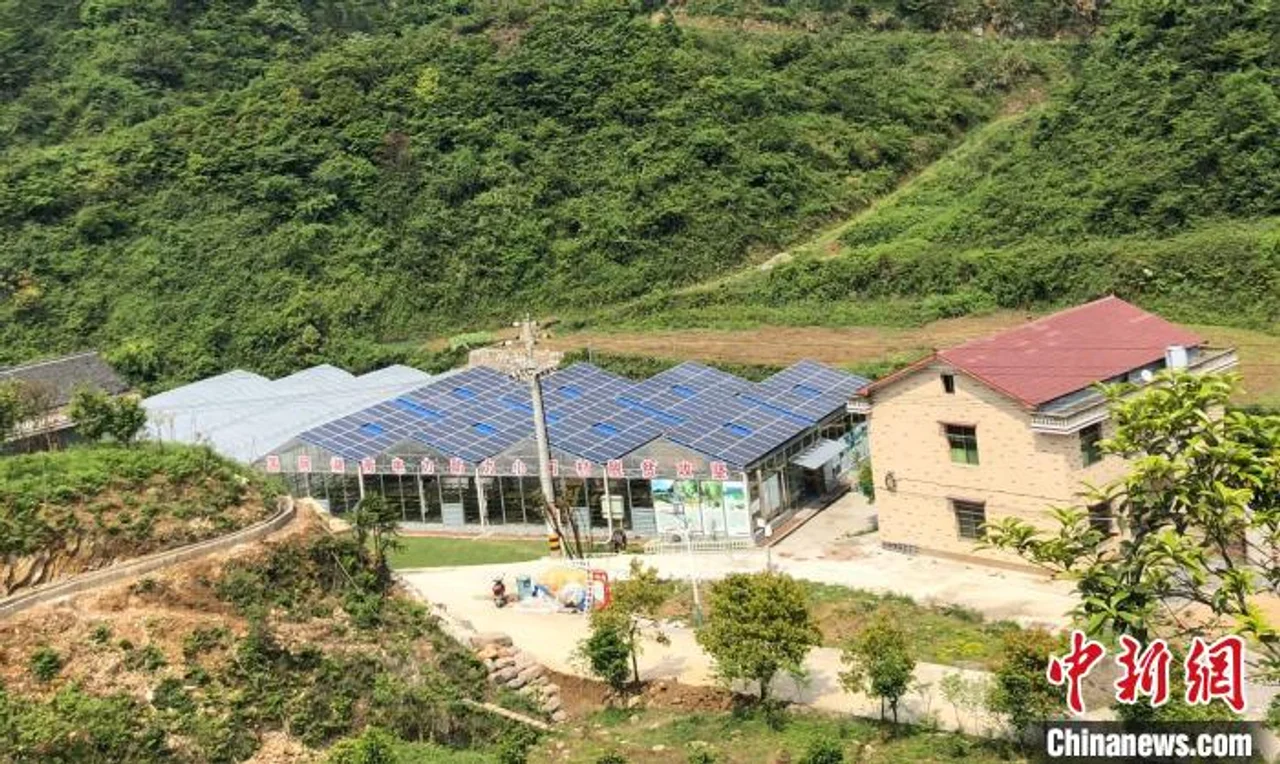 “农光互补”扶贫车间托起湖南高寒山村致富梦