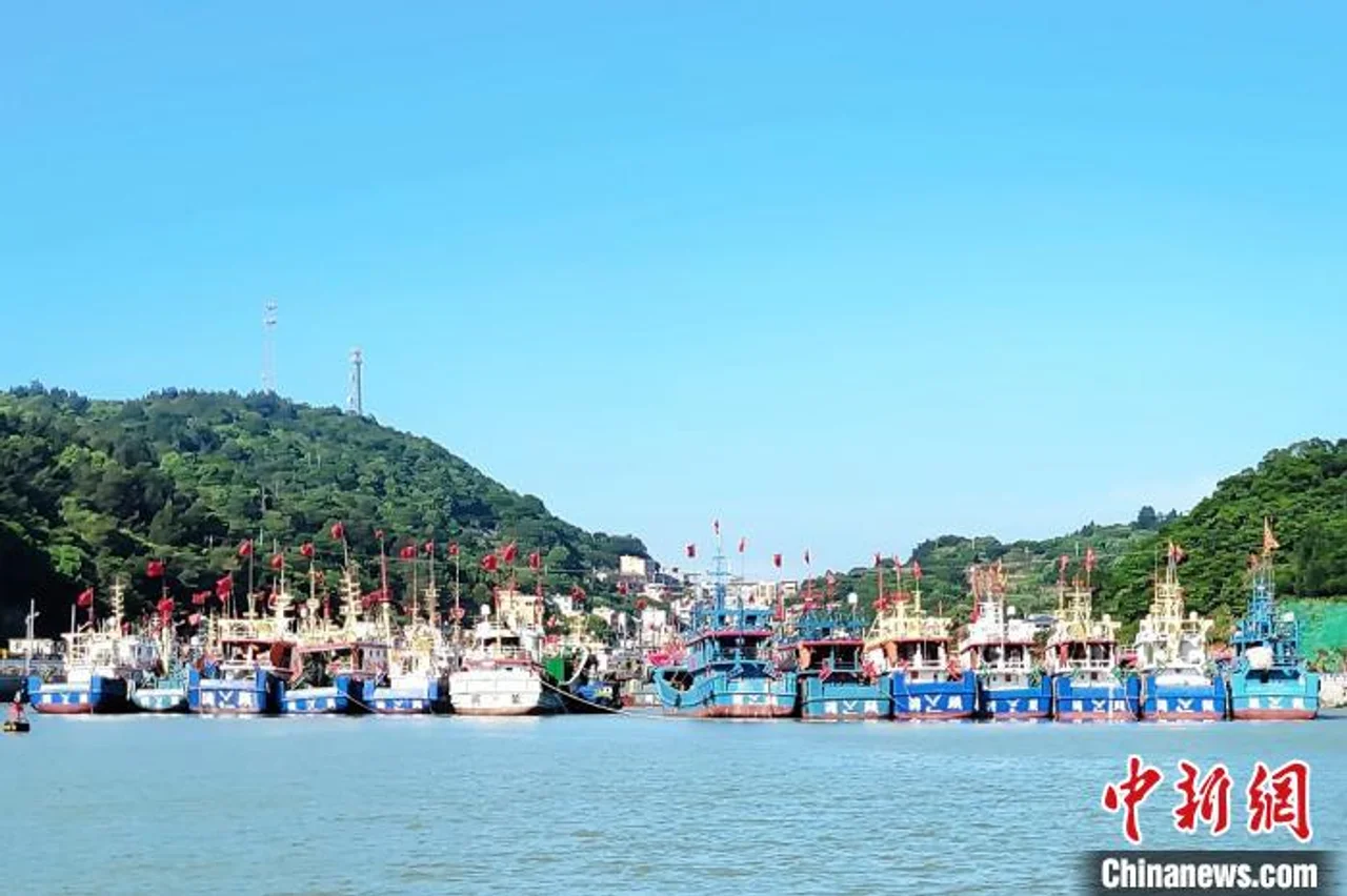 休渔在即 浙江洞头东沙渔港百艘渔船提前返港