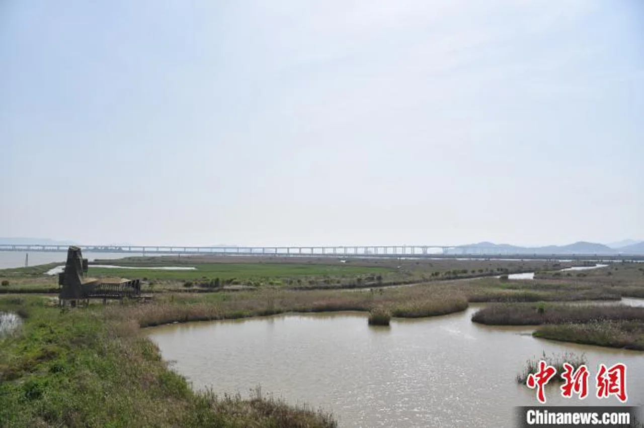 浙江漩门湾湿地的“治与守”:让城市融入大自然
