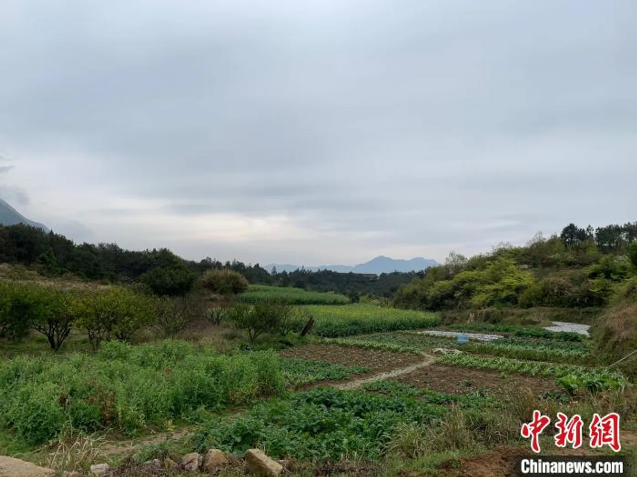 “进社区”“进校园” 浙江国土空间规划将更“阳光”