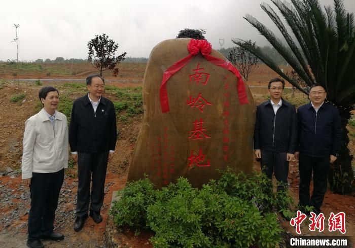 广东首个珍稀濒危植物保育基地“南岭基地”开园