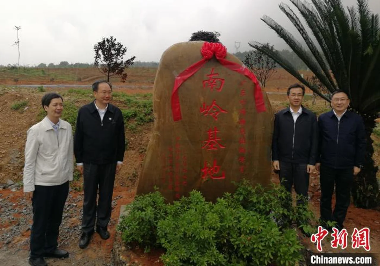 广东首个珍稀濒危植物保育基地“南岭基地”开园
