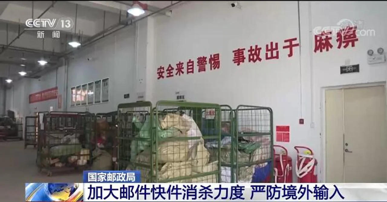 国家邮政局:加大邮件快件消杀力度 严防境外输入