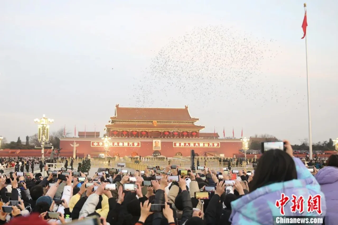 迎新年放飞和平鸽源于何时?带你了解“和平鸽”的前世今生