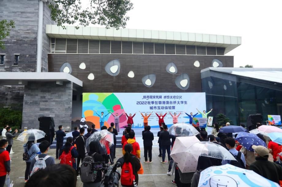 港澳台侨在蓉大学生：“探秘”熊猫基地 品味天府文化
