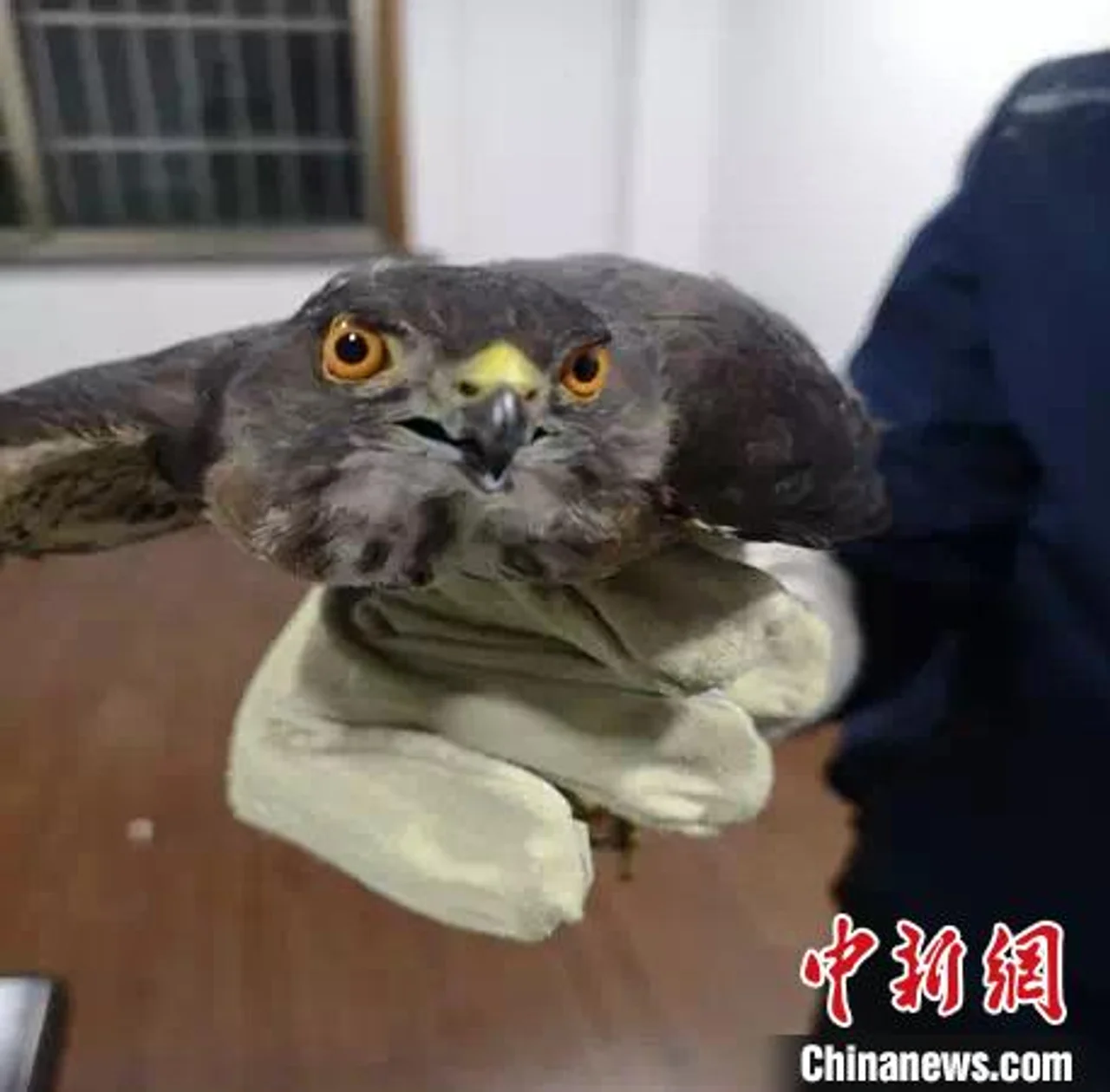 浙江检方办理41件涉疫犯罪案件 全部提前介入