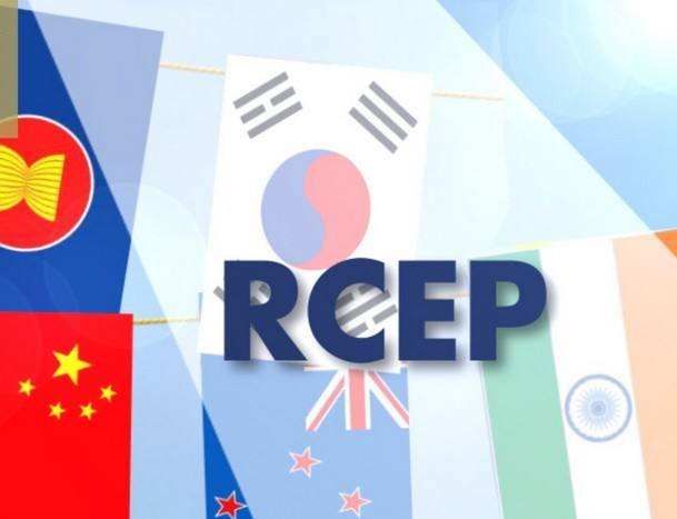 新加坡专家：RCEP的签署实施，为区域和全球经济发展增添动力