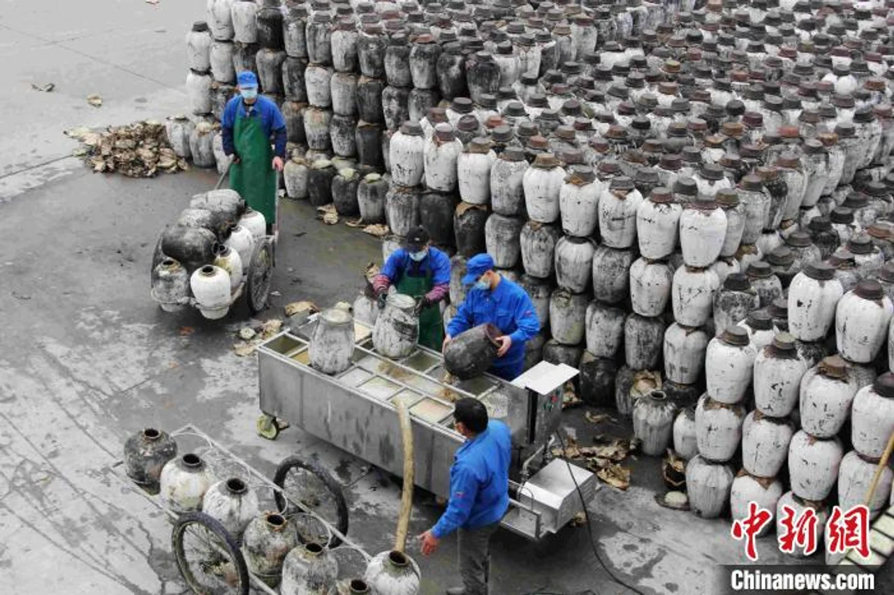 疫情下“中国黄酒之都”忙春榨:东方酿造迎“苏醒”