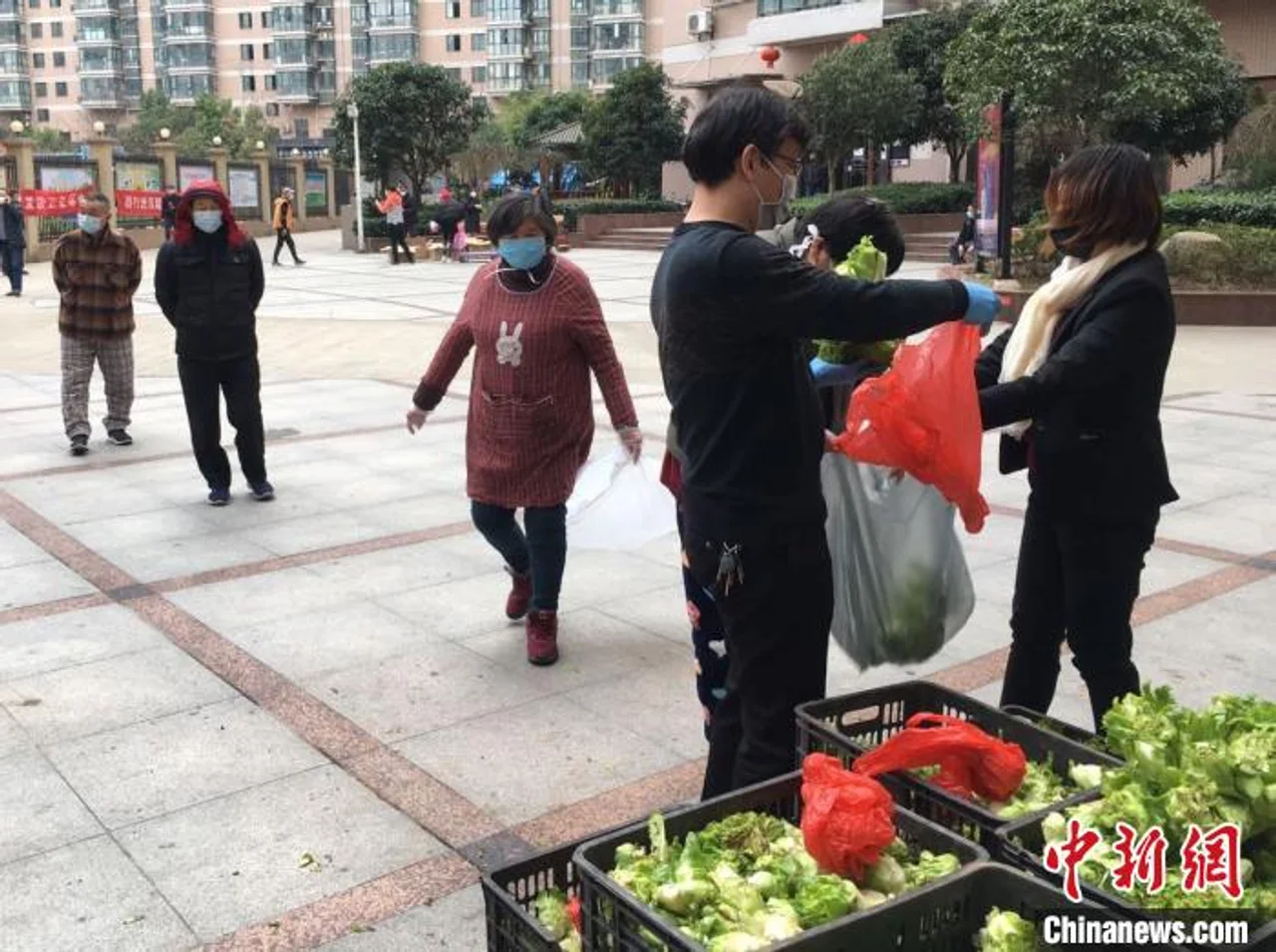湖北:商超+电商供应模式满足市民个性化物资需求