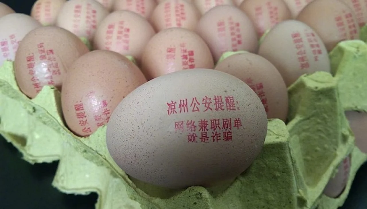 反诈鸡蛋、反诈奶茶……警察叔叔为了提醒你不要被骗有多拼?