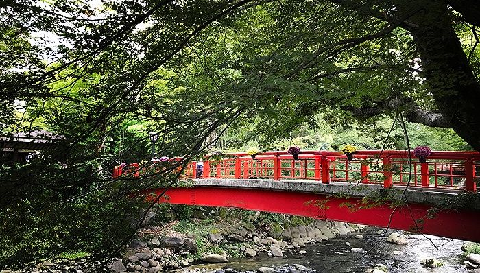 文旅部：严查以中老年为目标群体的包价游产品文