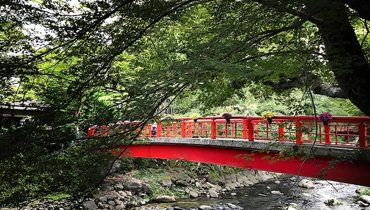 文旅部:严查以中老年为目标群体的包价游产品文