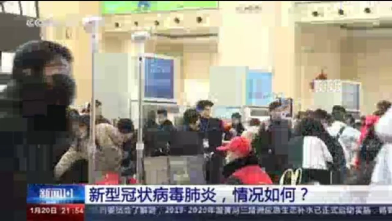 如何应对新型冠状病毒肺炎疫情 专家答疑焦点问题