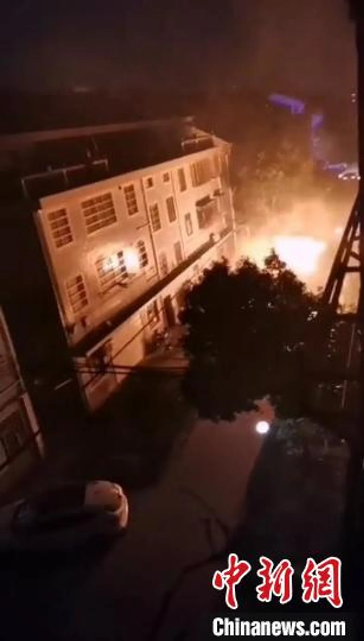 浙江辅警凌晨穿短裤开“火车” 被赞“好样的”