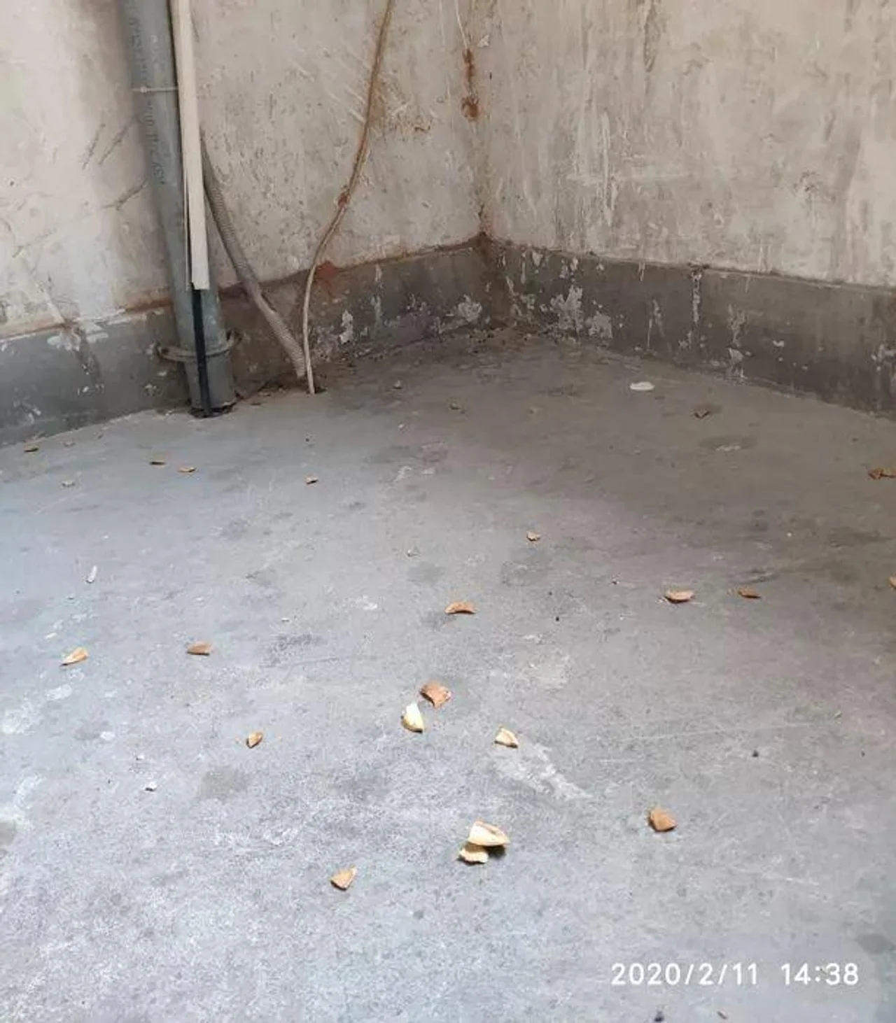 快递无接触配送 她“蹲守到凌晨抢购到的口罩,丢了”