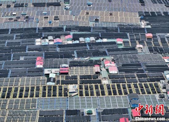 航拍福建连江“海上牧场” 蔚为壮观