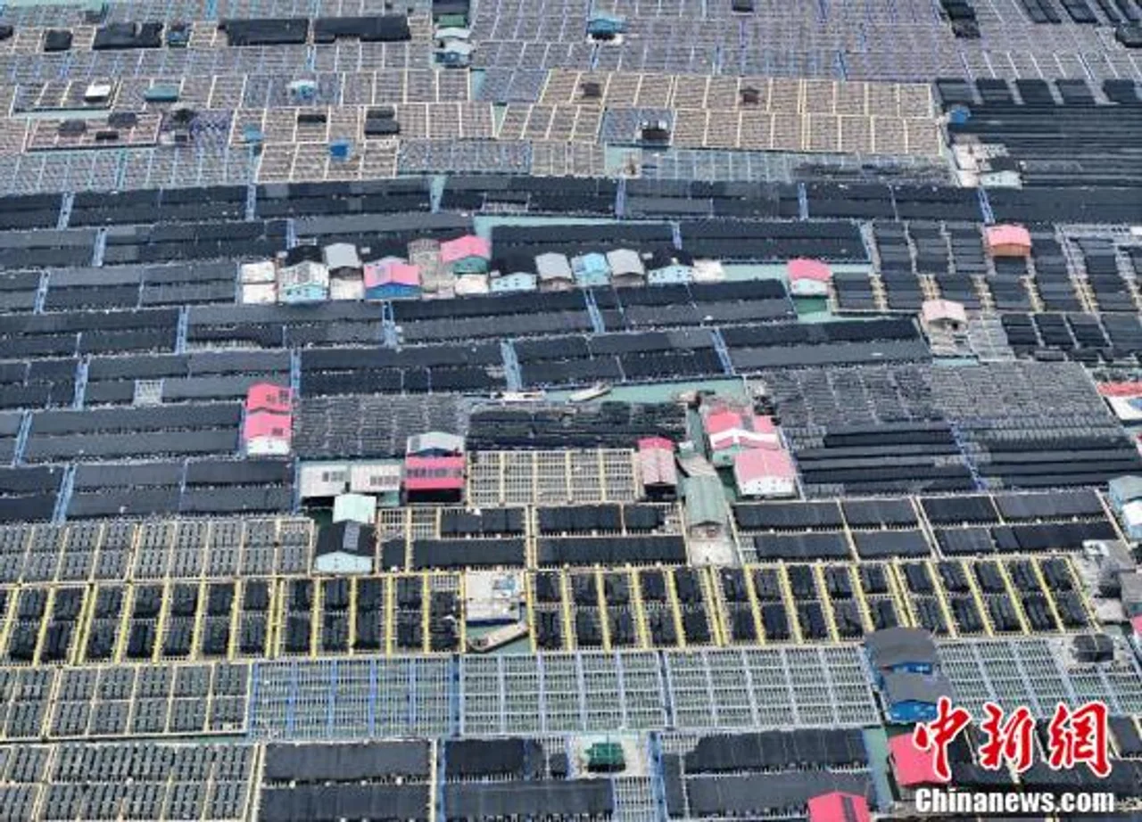 航拍福建连江“海上牧场” 蔚为壮观