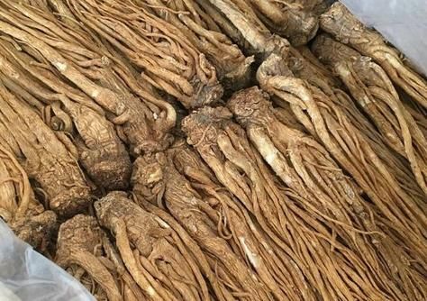 当归一个月涨价60%！中药材价格淡季不降反涨