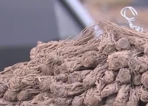 一个月涨幅超72%！经销商疯狂抢货！什么这么火？