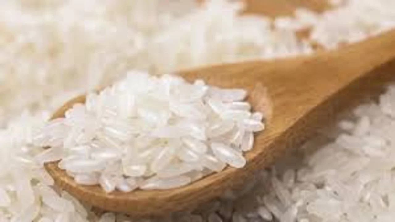 三季度粮食价格恢复性上涨,专家怎么看?