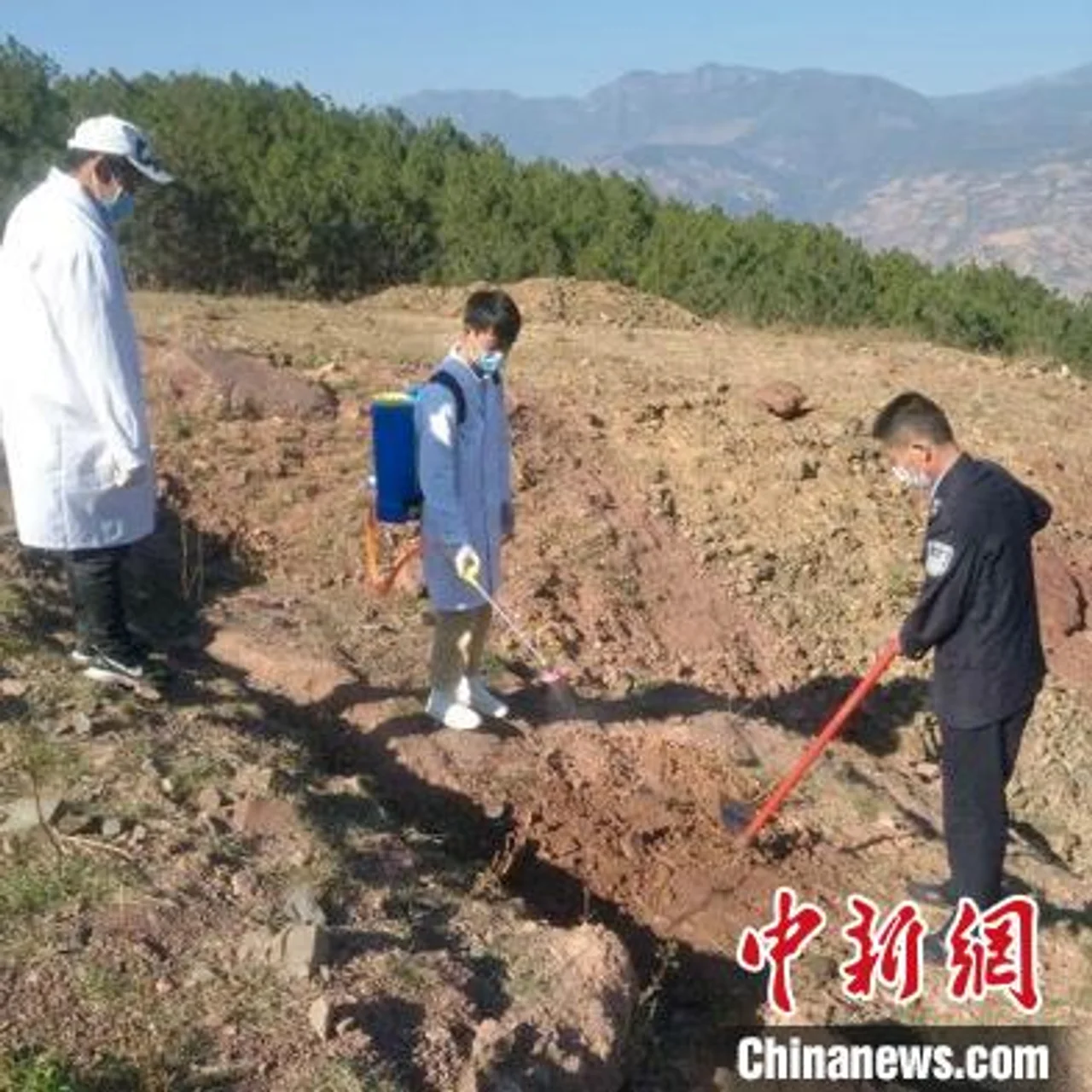 四川德昌村民捕捉33只蝙蝠 目前正被居家隔离