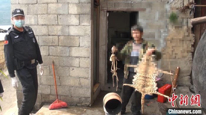 网络主播为“吸粉”直播猎捕野生动物 已被警方查处
