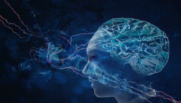 云从科技杨桦：人机协同是提升效率的关键，有助于提升中国整体竞...