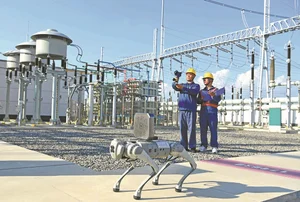 Renewables capacity doubles in first half