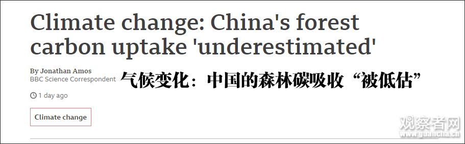 研究发现：中国森林比想象中还能“吸”碳