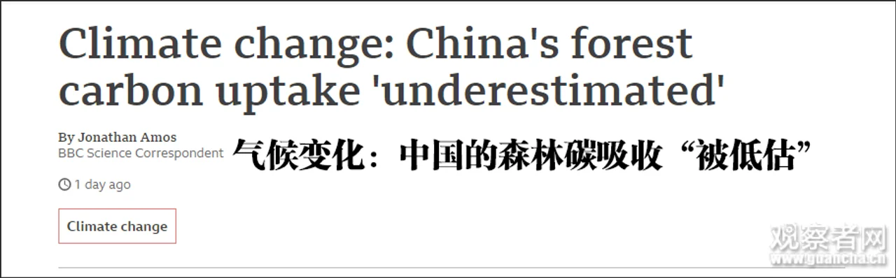 研究发现:中国森林比想象中还能“吸”碳