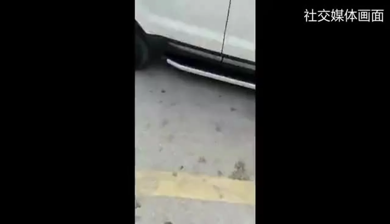 伊朗首席核科学家被暗杀后,特朗普做出一个举动