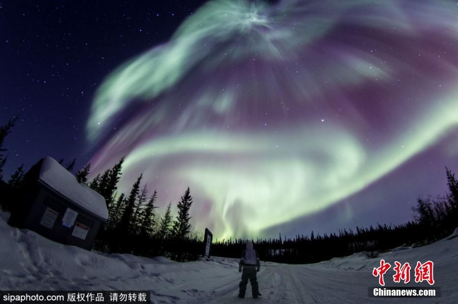 大自然的魅力！加拿大上空极光变幻无穷