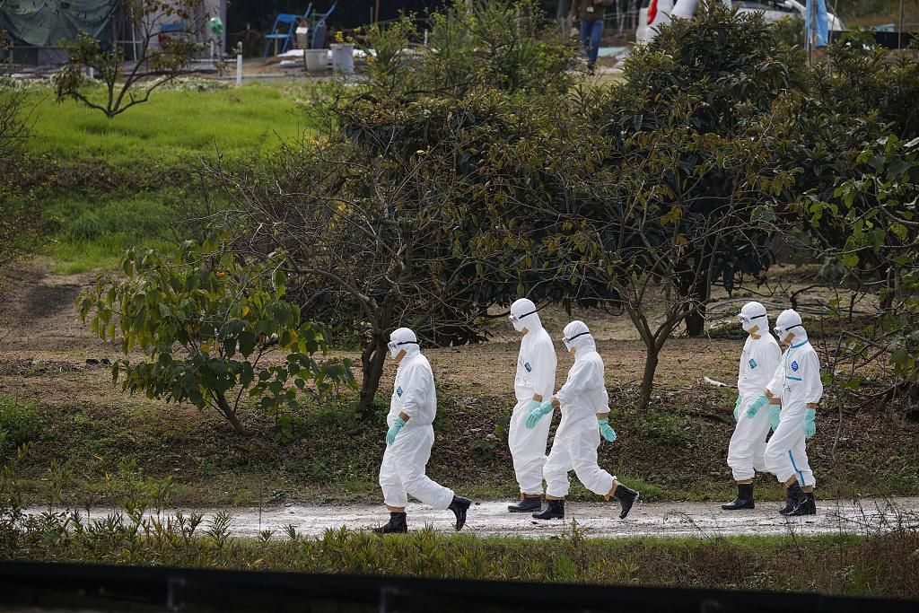 日本接连出现禽流感疫情