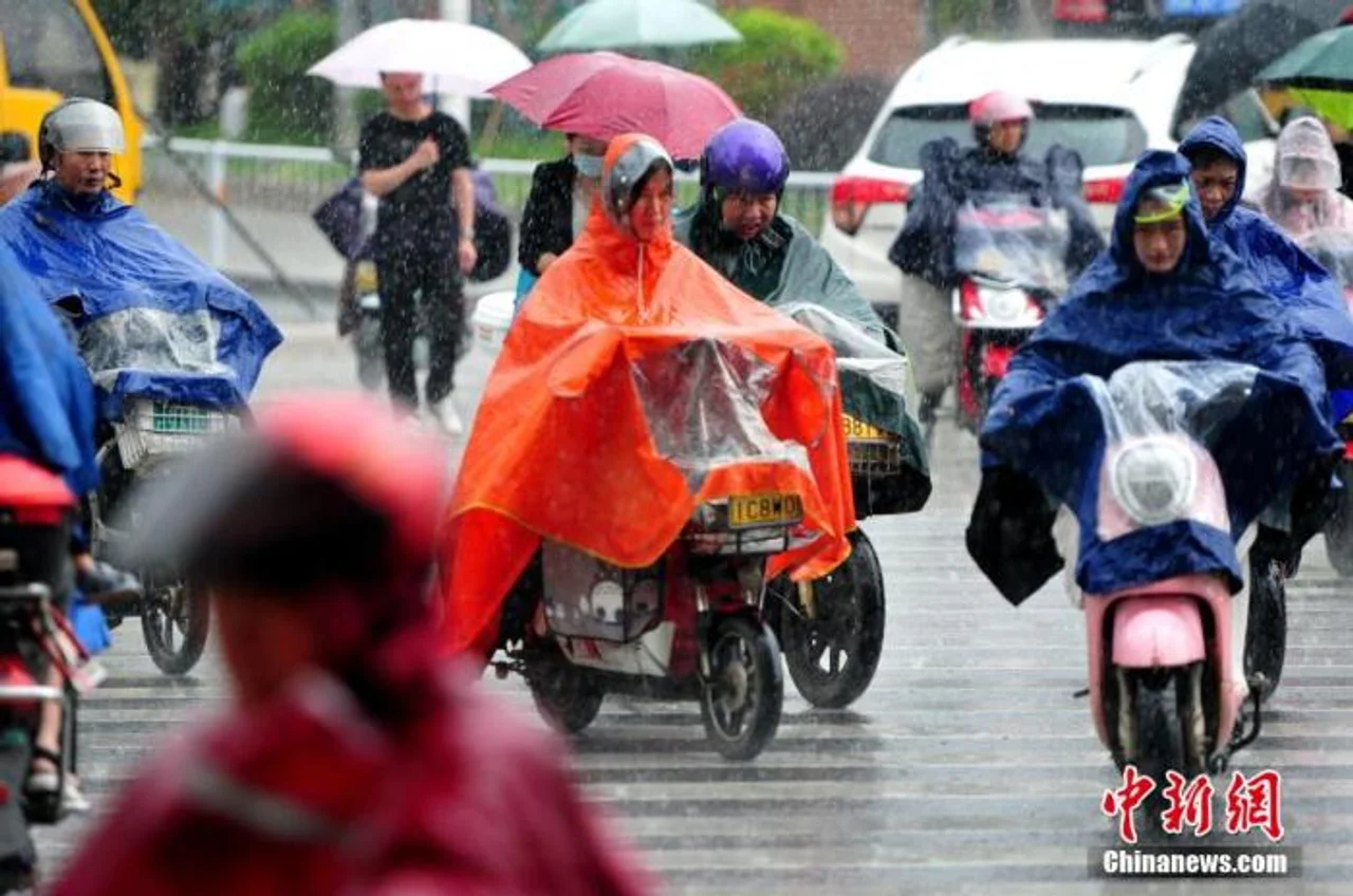 西南地区局地有强降水 台风“卢碧”将影响东部及南部海域