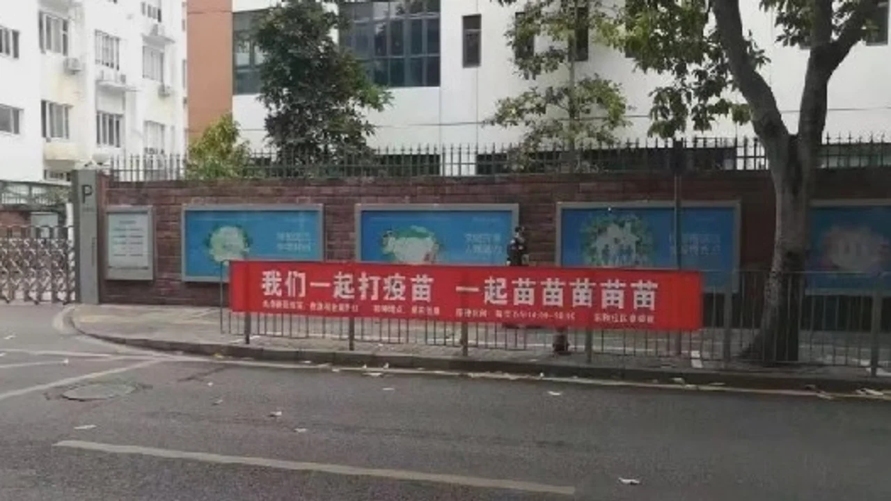 “一起苗苗苗苗苗”,中国网民在欢呼