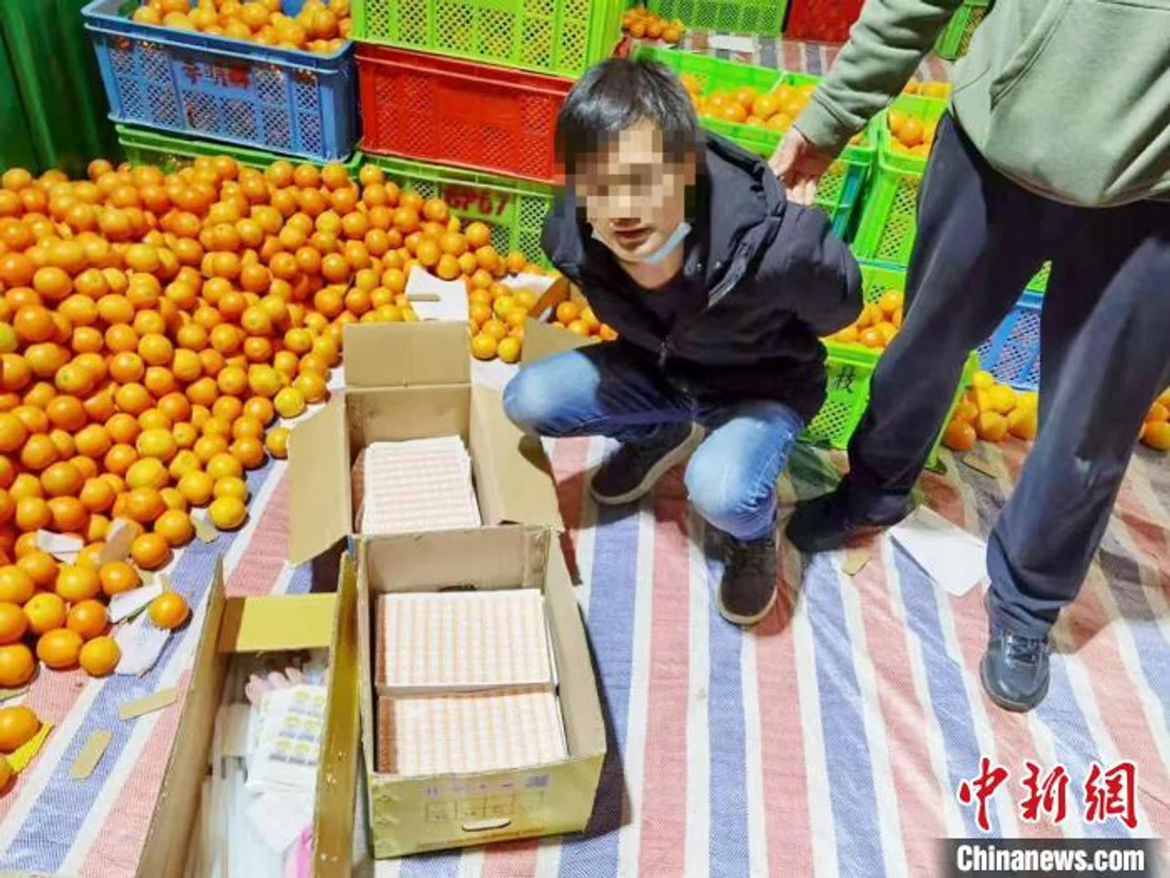 上海警方破获制售假冒“褚橙”案 仓库高悬“励志”条幅