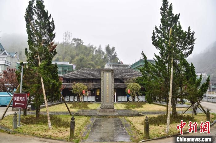 浙江台州桐树坑话前世今生：革命老区重“走红”