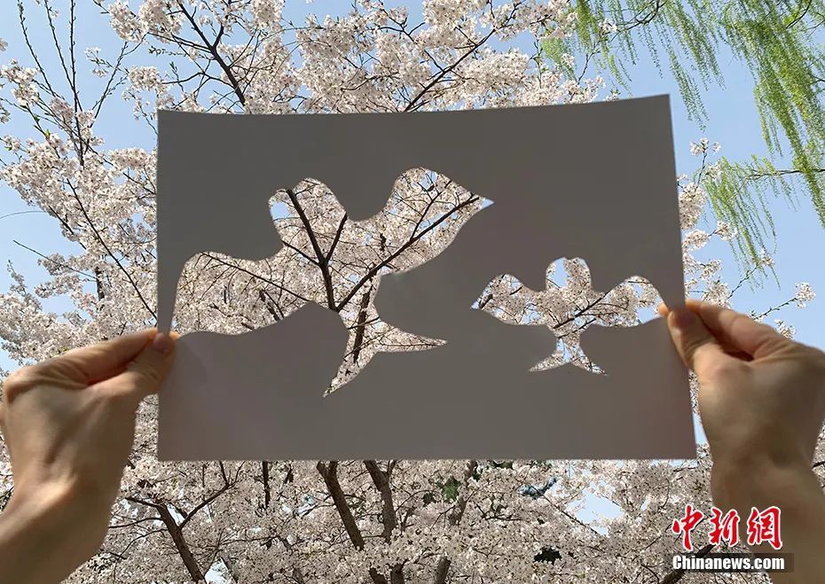 人间最美四月天！我把春天用“风筝”放上了天……