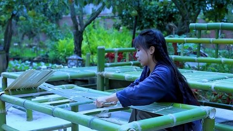 中国网红出海：李子柒他们凭什么在YouTube这么火