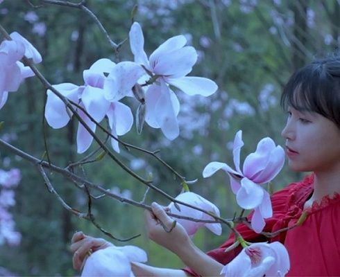 李子柒爆红，背后的“资本推手”究竟是谁