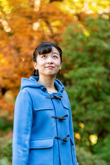 日本政府拟设“皇女”制：为国家公务员 领特殊津贴
