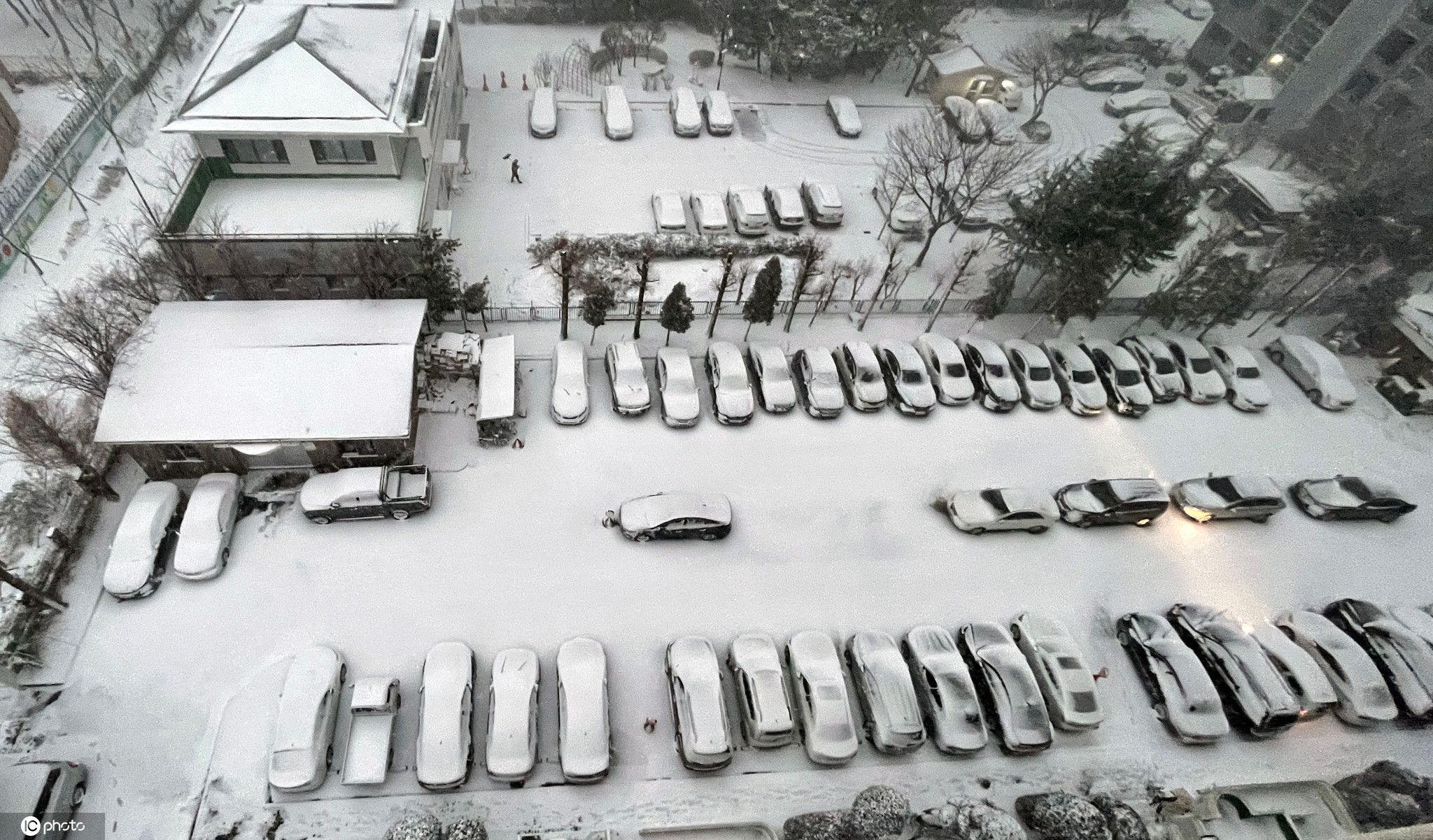 韩国气温骤降 多地迎来大雪银装素裹