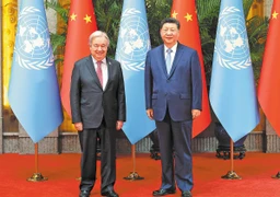 Multilateralism, vital role of UN highlighted
